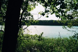 Milch & Moos · Vom Wandern und vom guten Essen · Brandenburg, Berlin