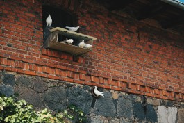 Milch & Moos · Vom Wandern und vom guten Essen · Brandenburg, Berlin