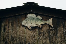 Wanderung durch die Uckermark, Naturpark Uckermärkische Seen 