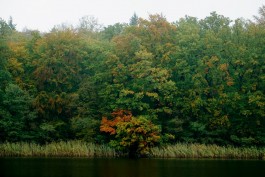 Wanderung durch die Uckermark, Naturpark Uckermärkische Seen 