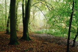Wanderung durch die Uckermark, Naturpark Uckermärkische Seen