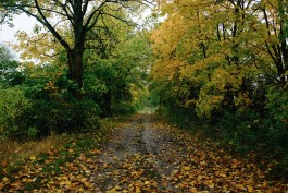 Wanderung durch die Uckermark, Naturpark Uckermärkische Seen