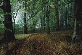 Wanderung durch die Uckermark, Naturpark Uckermärkische Seen