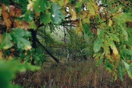 Wanderung durch die Uckermark, Naturpark Uckermärkische Seen