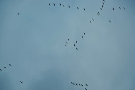 Wanderung durch die Uckermark, Naturpark Uckermärkische Seen 