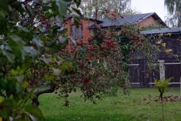 Apfelwein Gutshof Kraatz