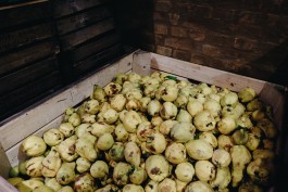 Apfelwein Gutshof Kraatz 