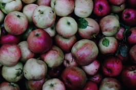 Wanderung durch die Uckermark, Naturpark Uckermärkische Seen 