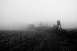 Wanderung durch die Uckermark, Naturpark Uckermärkische Seen