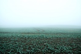 Wanderung durch die Uckermark, Naturpark Uckermärkische Seen