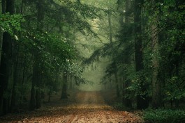 Wanderung durch die Uckermark, Naturpark Uckermärkische Seen