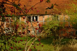Wanderung durch die Uckermark, Naturpark Uckermärkische Seen 