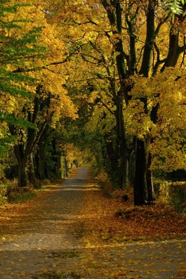 Wanderung durch die Uckermark, Naturpark Uckermärkische Seen 
