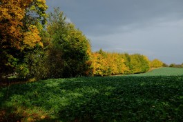 Wanderung durch die Uckermark, Naturpark Uckermärkische Seen 