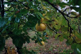 Wanderung durch die Uckermark, Naturpark Uckermärkische Seen