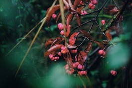 Uckermark Brandenburg Wanderung