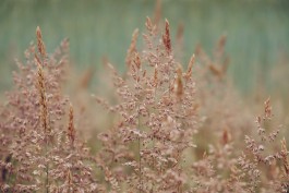 Milch & Moos · Vom Wandern und vom guten Essen · Brandenburg, Berlin