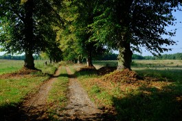 Milch & Moos · Vom Wandern und vom guten Essen · Brandenburg, Berlin