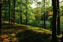 Milch & Moos · Vom Wandern und vom guten Essen · Brandenburg, Berlin