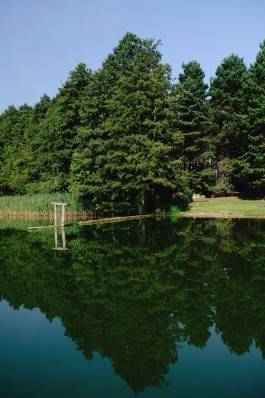 Milch & Moos · Vom Wandern und vom guten Essen · Brandenburg, Berlin