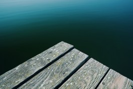 Milch & Moos · Vom Wandern und vom guten Essen · Brandenburg, Berlin