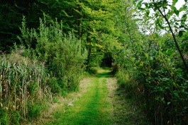 Milch & Moos · Vom Wandern und vom guten Essen · Brandenburg, Berlin