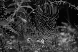 Milch & Moos · Vom Wandern und vom guten Essen · Brandenburg, Berlin