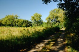 Milch & Moos · Vom Wandern und vom guten Essen · Brandenburg, Berlin