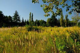 Milch & Moos · Vom Wandern und vom guten Essen · Brandenburg, Berlin