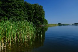 Milch & Moos · Vom Wandern und vom guten Essen · Brandenburg, Berlin