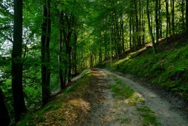 Milch & Moos · Vom Wandern und vom guten Essen · Brandenburg, Berlin