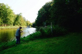 Milch & Moos · Vom Wandern und vom guten Essen · Brandenburg, Berlin
