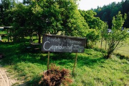 Milch & Moos · Vom Wandern und vom guten Essen · Brandenburg, Berlin