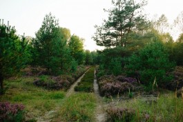 Milch & Moos · Vom Wandern und vom guten Essen · Brandenburg, Berlin