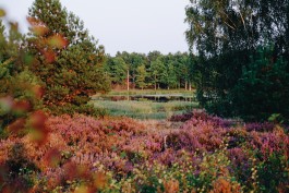Milch & Moos · Vom Wandern und vom guten Essen · Brandenburg, Berlin