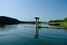 Milch & Moos · Vom Wandern und vom guten Essen · Brandenburg, Berlin