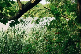 Milch & Moos · Vom Wandern und vom guten Essen · Brandenburg, Berlin