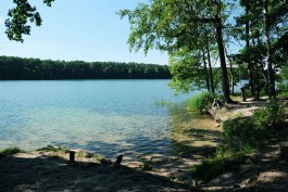 Milch & Moos · Vom Wandern und vom guten Essen · Brandenburg, Berlin