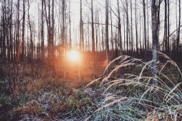 Wanderung Spreewald Lübbau 