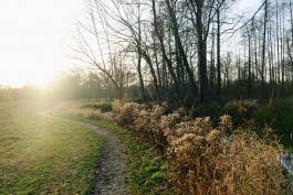 Wanderung Spreewald Lübbau