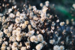 Wanderung Spreewald Lübbau 