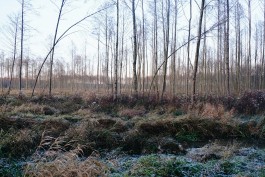 Wanderung Spreewald Lübbau