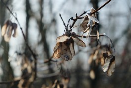 Wanderung Spreewald Lübbau