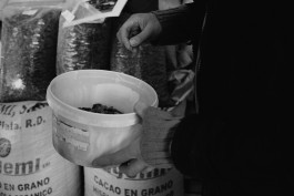 Milch & Moos · Vom Wandern und vom guten Essen · Brandenburg, Berlin