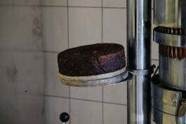 Milch & Moos · Vom Wandern und vom guten Essen · Brandenburg, Berlin