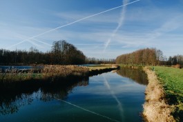 Wanderung Spreewald Lübbau 