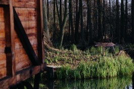 Wanderung Spreewald Lübbau 