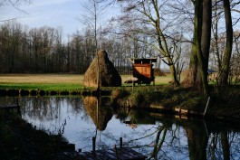 Wanderung Spreewald Lübbau 