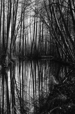 Wanderung Spreewald Lübbau 