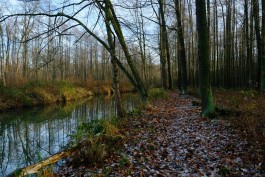 Wanderung Spreewald Lübbau